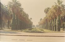 Een prachtig park in Casablanca
