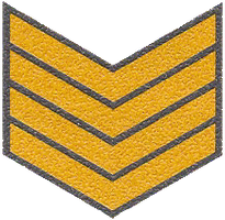 Badge of Distinction sergeant major